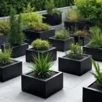 Black elements in garden design trends for 2024-2025