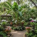 Exotic container gardening: key elements and maintenance tips